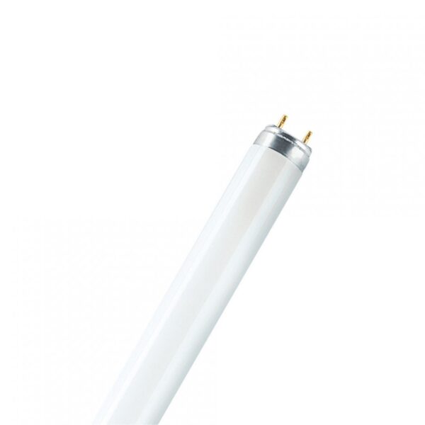 Fluo cijev 18W/77 FLUORA OSRAM