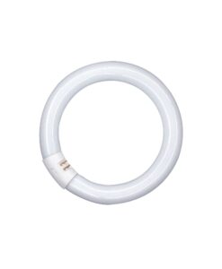 Fluo cijev 40W/840 T8 okrugla G10Q OSRAM