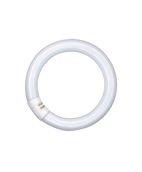 Fluo cijev 40W/840 T8 okrugla G10Q OSRAM