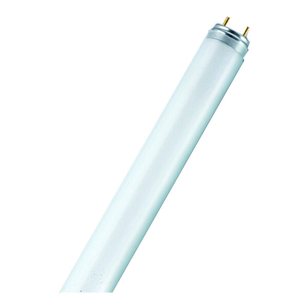 Fluo cijev 58W/865 lumilux OSRAM