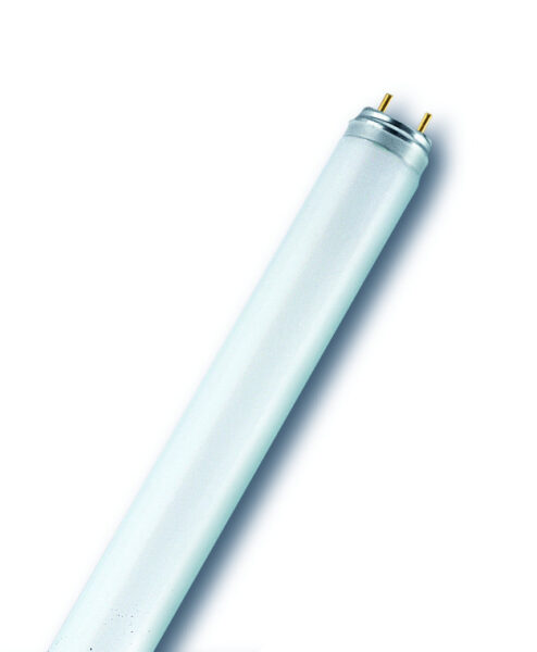 Fluo cijev 30W/865 T8 OSRAM
