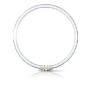 Fluo cijev 40W/840 T5 okrugla 2GX13 OSRAM