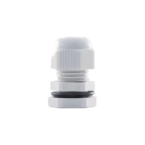 Uvodnica DP 11/H